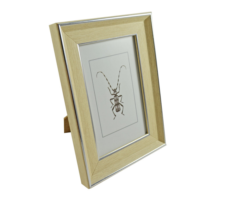 Fotoramček drevený CHROBÁČIK rozmer fotografie 16,5x12 cm