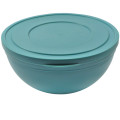 HOBBY LIFE Plastová miska okrúhla KYSKA Ø21x11 cm 2,5 L HOBBY LIFE Plastová miska okrúhla KYSKA Ø21x11 cm 2,5 L