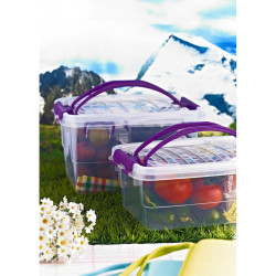 HOBBY LIFE Plastová dóza klipové uzatváranie obdĺžníková 21,5x31,5x17,5 cm 7 L HOBBY LIFE Plastová dóza klipové uzatváranie obdĺžníková 21,5x31,5x17,5 cm 7 L