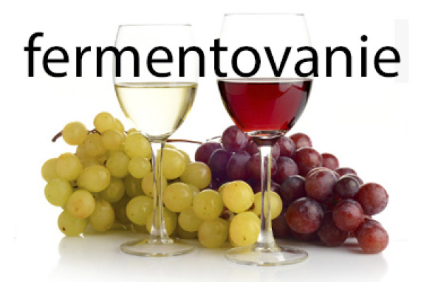 Zaujímavosti zo sveta fermentácie. Známe, ale aj menej známe fakty o tomto spracovaní surovín a potravín.