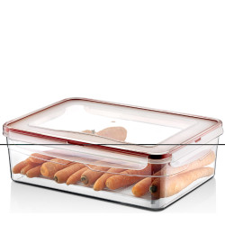 HOBBY LIFE Plastová dóza silikonové tesnenie obdĺžníková 30x21,5x9,2 cm 4,3 L HOBBY LIFE Plastová dóza silikonové tesnenie obdĺžníková 30x21,5x9,2 cm 4,3 L