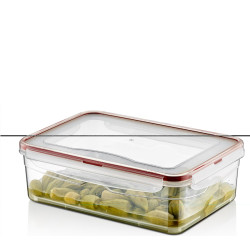 HOBBY LIFE Plastová dóza silikonové tesnenie odkvapkávacia mriežka obdĺžníková 26x18,5x8,4 cm 2,6 L HOBBY LIFE Plastová dóza silikonové tesnenie odkvapkávacia mriežka obdĺžníková 26x18,5x8,4 cm 2,6 L