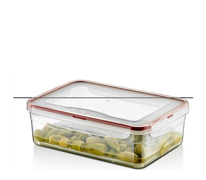 HOBBY LIFE Plastová dóza silikonové tesnenie odkvapkávacia mriežka obdĺžníková 26x18,5x8,4 cm 2,6 L HOBBY LIFE Plastová dóza silikonové tesnenie odkvapkávacia mriežka obdĺžníková 26x18,5x8,4 cm 2,6 L