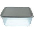 HOBBY LIFE Plastová dóza stohovacia obdĺžníková 28x19x11,5 cm 4,5 L