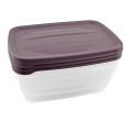 HOBBY LIFE Plastová dóza obdĺžníková stohovacia 3ks 14,3x20x10,5 cm 1,2 L HOBBY LIFE Plastová dóza obdĺžníková stohovacia 3ks 14,3x20x10,5 cm 1,2 L