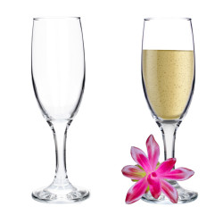 Sada sklenených pohárov na šampanské 6 ks 0,19 L 19x6 cm